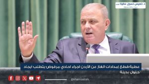 عطية : قطع إمدادات الغاز عن الأردن اجراء احادي مرفوض يتطلب ايجاد حلول بديلة